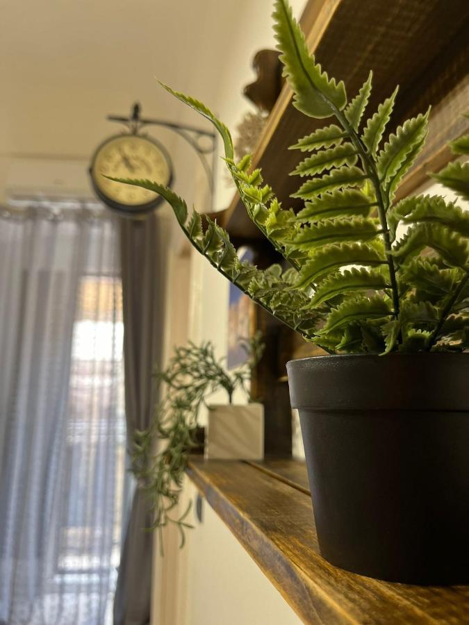 Nicanto'S Home バーリ エクステリア 写真